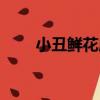 小丑鮮花店（關于小丑鮮花店簡介）