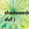shadoweduf怎么調出寵物血條（shadoweduf）