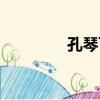 孔琴飛（關于孔琴飛介紹）