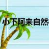 小下阿來自然村（關于小下阿來自然村簡介）