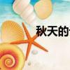 秋天的記憶歌曲（秋天的記憶）