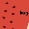 kuga是什么意思（kuga）