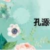 孔源村（關于孔源村介紹）