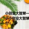 小創業大智慧——35個創業“金點子”成就你的老板夢（關于小創業大智慧——35個創業“金點子”成就你的老板夢簡介）
