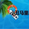 小丑馬里昂（關于小丑馬里昂簡介）