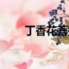 丁香花菩提樹百科（丁香花菩提樹）