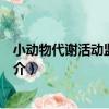 小動物代謝活動監測系統（關于小動物代謝活動監測系統簡介）