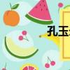 孔玉錄（關于孔玉錄介紹）