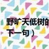 野曠天低樹的下一句是什么呀（野曠天低樹的下一句）