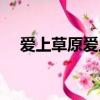 愛上草原愛上你原唱（愛上草原愛上你）