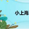 小上海人（關于小上海人簡介）