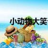小動物大笑話（關于小動物大笑話簡介）