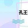 孔王爺（關于孔王爺介紹）