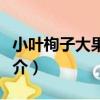 小葉栒子大果變種（關于小葉栒子大果變種簡介）