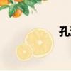 孔浩（關于孔浩介紹）