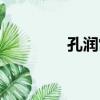 孔潤常（關于孔潤常介紹）