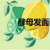 酵母發面酸是什么原因（酵母發面）