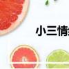 小三情結（關于小三情結簡介）