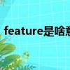 feature是啥意思啊（featured是什么意思）