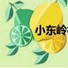 小東嶺村（關于小東嶺村簡介）