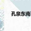 孔泉東南飛（關于孔泉東南飛介紹）