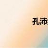 孔沛然（關于孔沛然介紹）