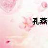 孔燕凌（關于孔燕凌介紹）