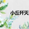 小丘殲滅戰（關于小丘殲滅戰簡介）
