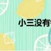小三沒有錯（關于小三沒有錯簡介）