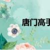 唐門高手在異世TXT（唐門高手）