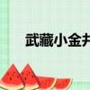 武藏小金井是什么動漫（武藏小金井）