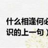 什么相逢何必曾相識的上一句（相逢何必曾相識的上一句）