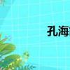 孔海霞（關于孔海霞介紹）