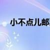 小不點兒郵票（關于小不點兒郵票簡介）