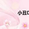 小丑DS（關于小丑DS簡介）