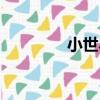 小世界（關于小世界簡介）