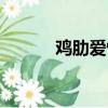 雞肋愛情怎么解決（雞肋愛情）