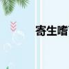寄生嗜育電影解說（寄生嗜育）