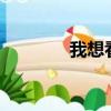 我想看rolling in the deep