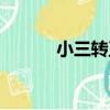 小三轉正（關于小三轉正簡介）