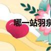 哪一站羽泉mp3百度云（哪一站羽泉）