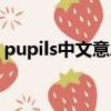 pupils中文意思是什么（pupils是什么意思）