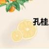 孔桂兒（關于孔桂兒介紹）