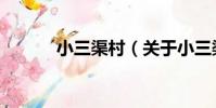 小三渠村(關于小三渠村簡介)