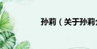 孫莉(關于孫莉介紹)
