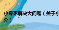 小專家解決大問題(關于小專家解決大問題簡介)