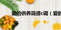愛的供養簡譜c調(愛的供養 簡譜)