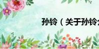 孫鈴(關于孫鈴介紹)