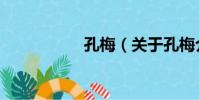孔梅(關于孔梅介紹)
