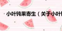 小葉鈍果寄生(關于小葉鈍果寄生簡介)